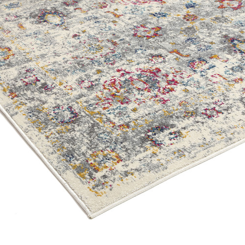 Grey Delicate Traditional Rug