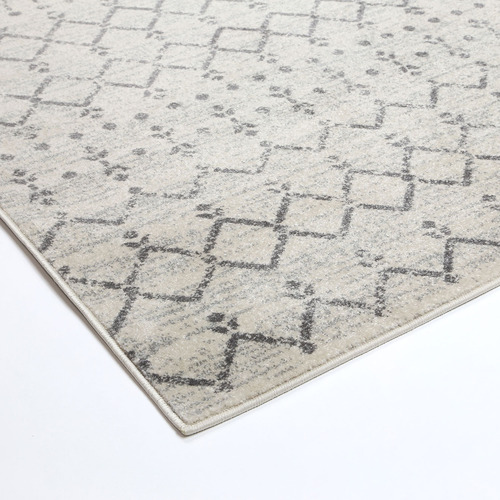 Grey Delicate Modern Rug