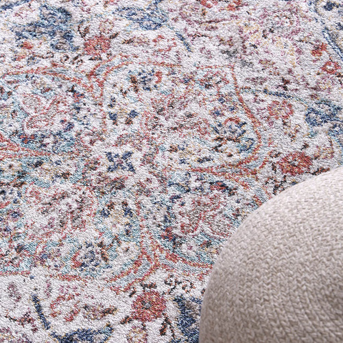 Ambrocio Oriental Vintage-Style Rug