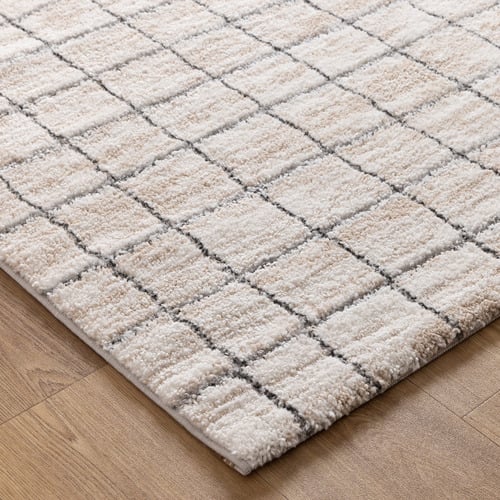 Neutral Orhan Power-Loomed Rug
