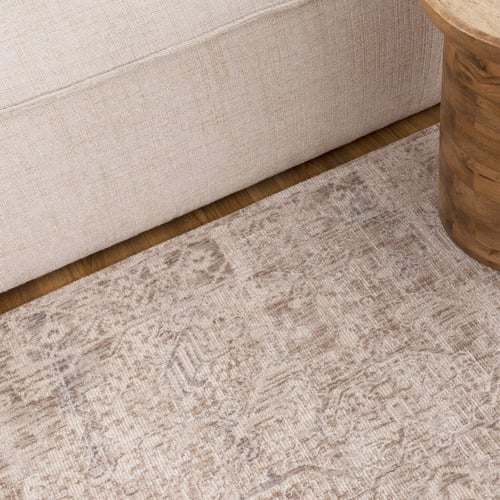 Beige & Blue Yza Power-Loomed Rug