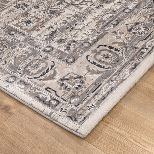 Beige Grey Transitional Distressed Atina Rug