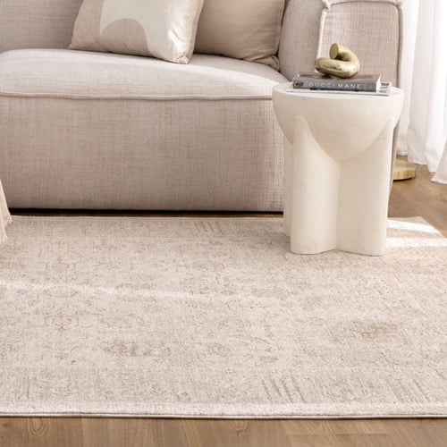 Beige Caitlin Distressed Rug
