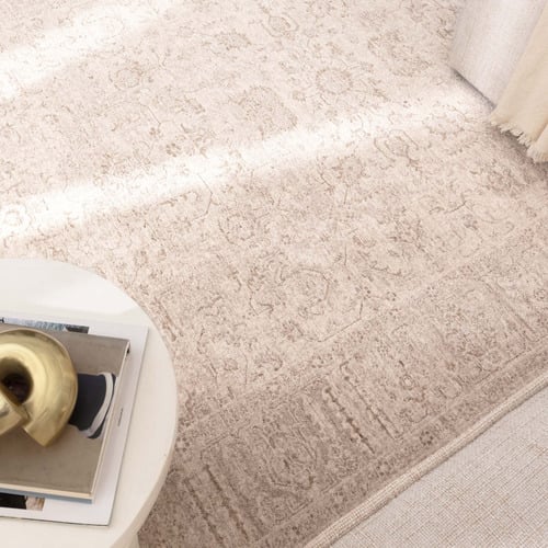 Beige Caitlin Distressed Rug
