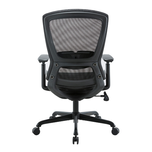 Daisey Fabric & Mesh Task Chair