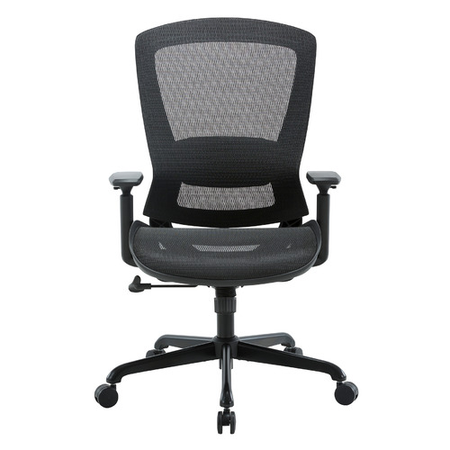 Daisey Mesh Task Chair
