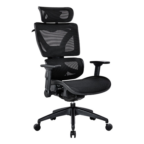 Blaise Ergonomic Office Chair Temple & ster