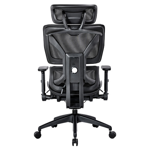 Blaise Ergonomic Office Chair Temple & ster