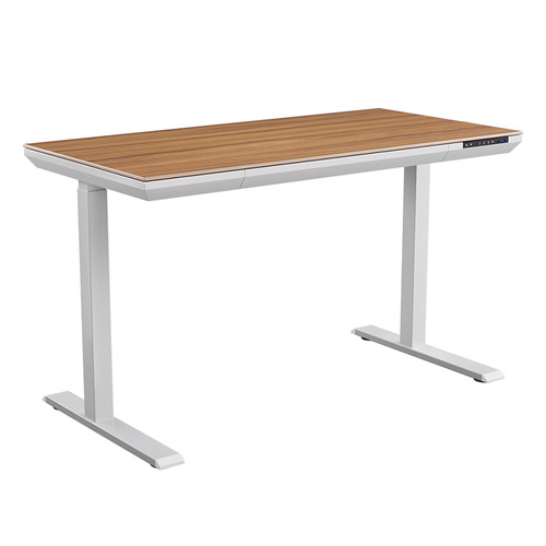 Beaufort Electric Sit & Stand Desk