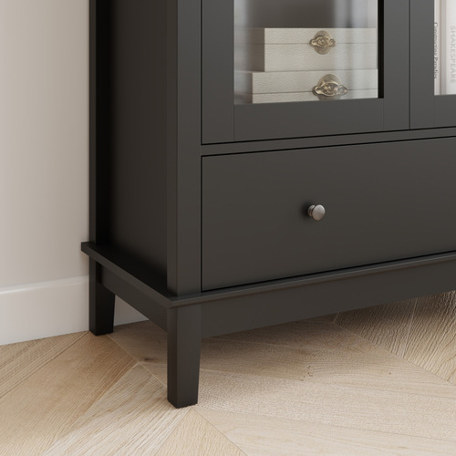 Darius 2 Door Display Cabinet
