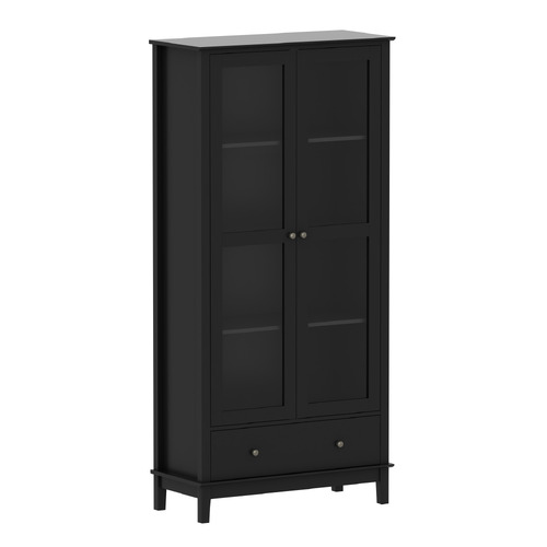 Darius 2 Door Display Cabinet