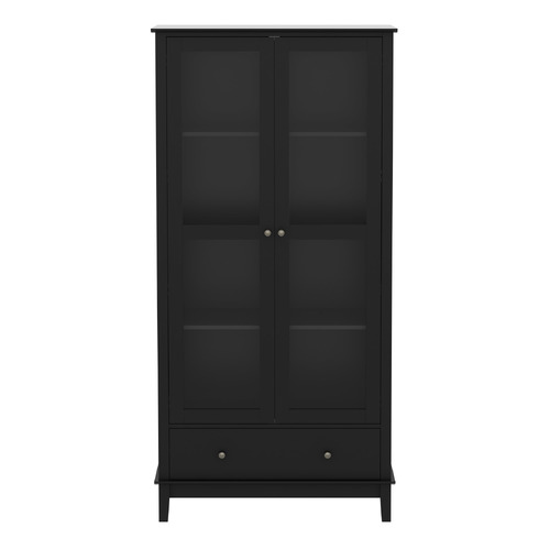 Darius 2 Door Display Cabinet