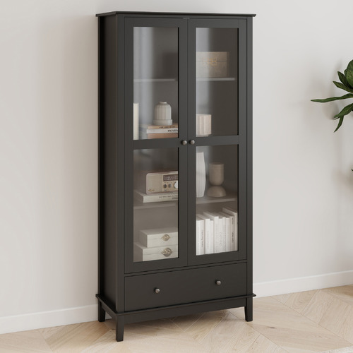 Darius 2 Door Display Cabinet