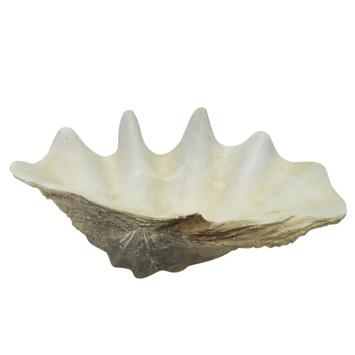 Large Clam Shell Decor | Temple & Webster