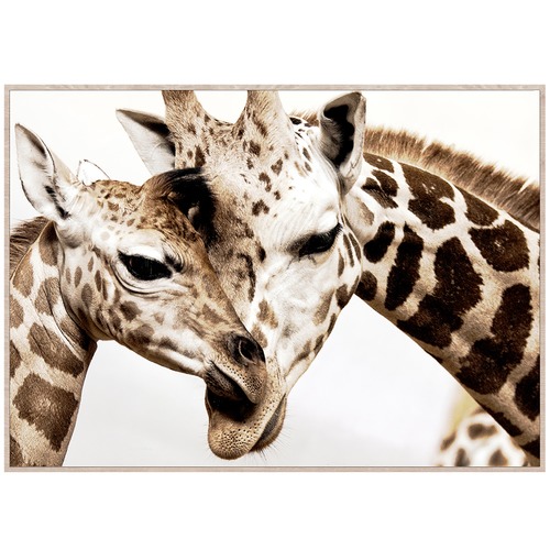 Lifestyle Traders Giraffe Portrait Framed Canvas Wall Art Temple