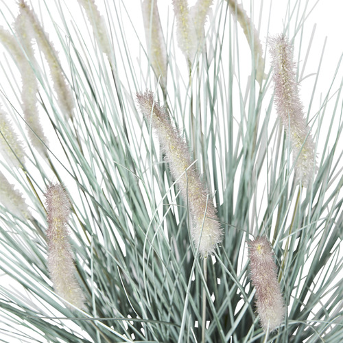 Potted Faux Cattail Grass | Temple & Webster