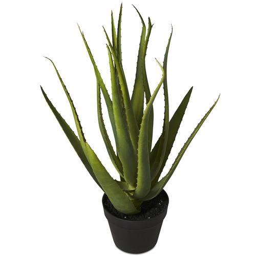 Lifestyle Traders 58cm Potted Faux Aloe Vera Plant Temple & ster
