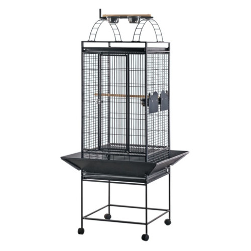 black bird cage