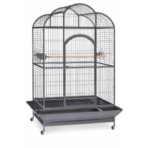 Silverado Dome Parrot Cage in Black Vein