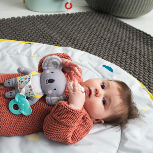 Taf Toys Kimmy the Koala Plush Toy with Teether
