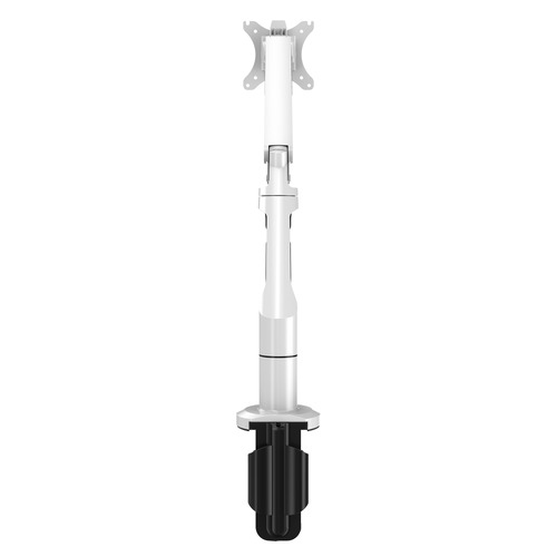 Cordova Single Monitor Arm