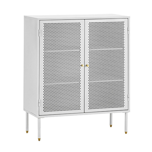 Mesh 2 Door Cabinet
