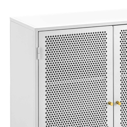 Mesh 2 Door Cabinet