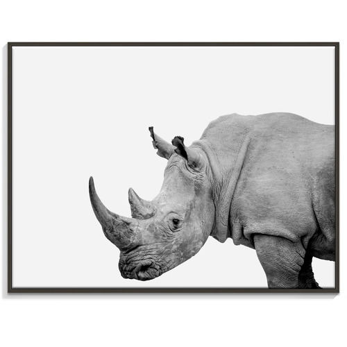 Our Artists' Collection Rhino Printed Wall Art | Temple & Webster