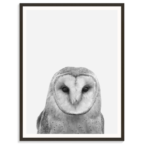 Barn-Owl-Printed-Wall-Art-215AL-P262