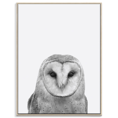 Barn-Owl-Printed-Wall-Art-215AL-P262