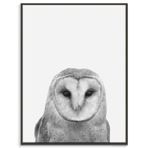Barn-Owl-Printed-Wall-Art-215AL-P262