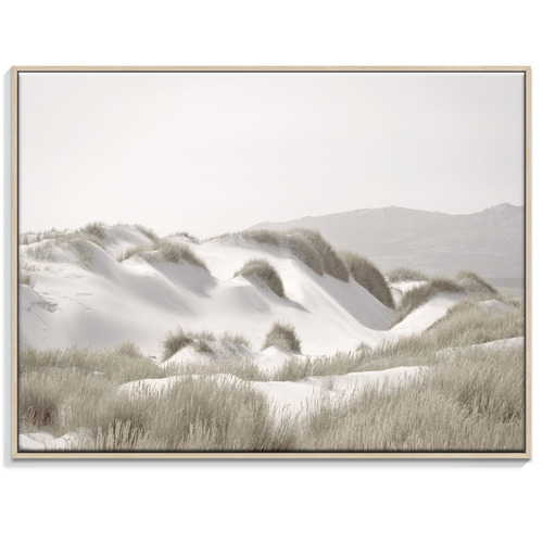 Our Artists' Collection Sand Dunes Printed Wall Art Temple & ster