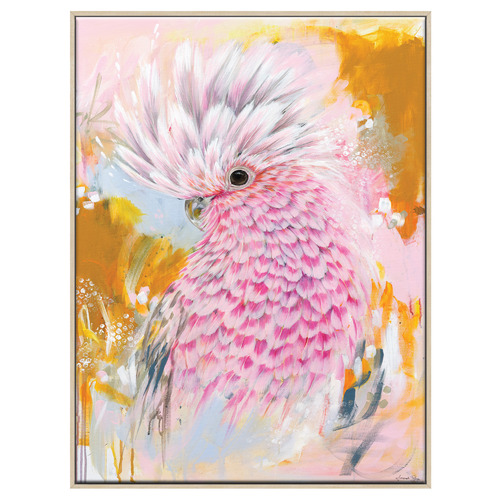 Charlie The Galah Printed Wall Art