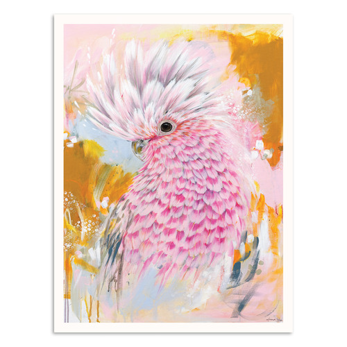 Charlie The Galah Printed Wall Art