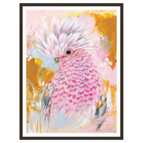 Charlie The Galah Printed Wall Art