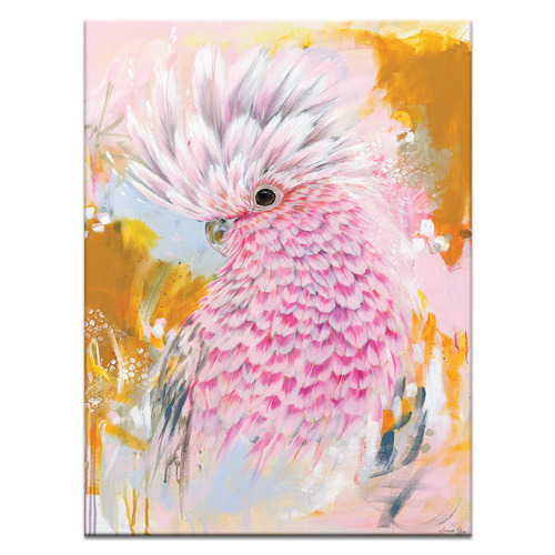 Charlie The Galah Printed Wall Art