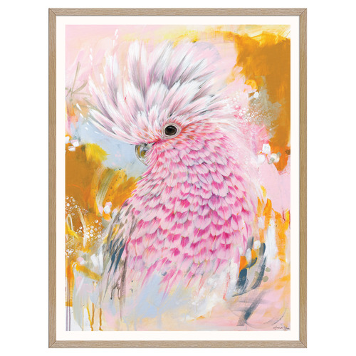 Charlie The Galah Printed Wall Art