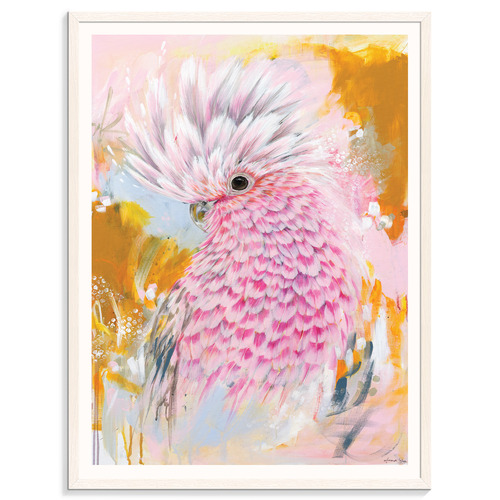 Charlie The Galah Printed Wall Art