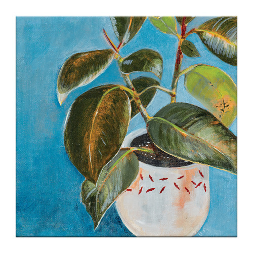 Sitting Pretty Printed Wall Art by Vanessa Maver