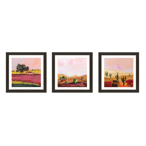 3-Piece-Desert-Dreams-Framed-Paper-Print-Wall-Art-Set