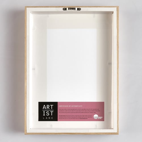 2-Piece-Vivid-Blooms-Framed-Paper-Print-Wall-Art-Set