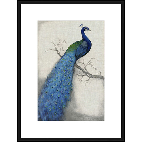 Spyglass Gallery Peacock Blue I Framed Print | Temple & Webster