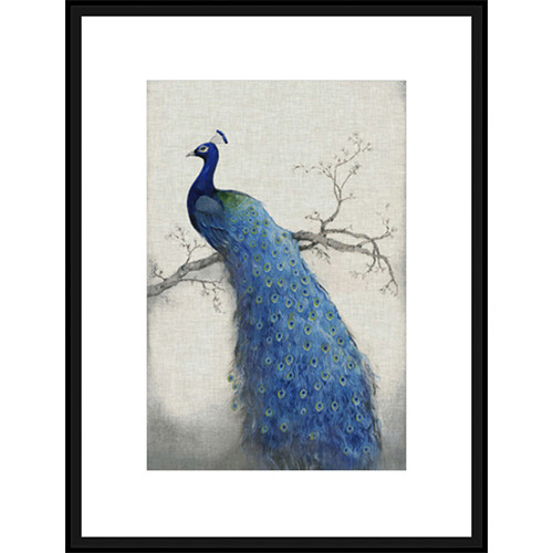 Spyglass Gallery Peacock Blue II Framed Print | Temple & Webster