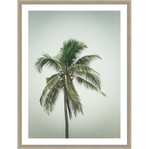 Coconut Palm Tree IV Framed Print | Temple & Webster