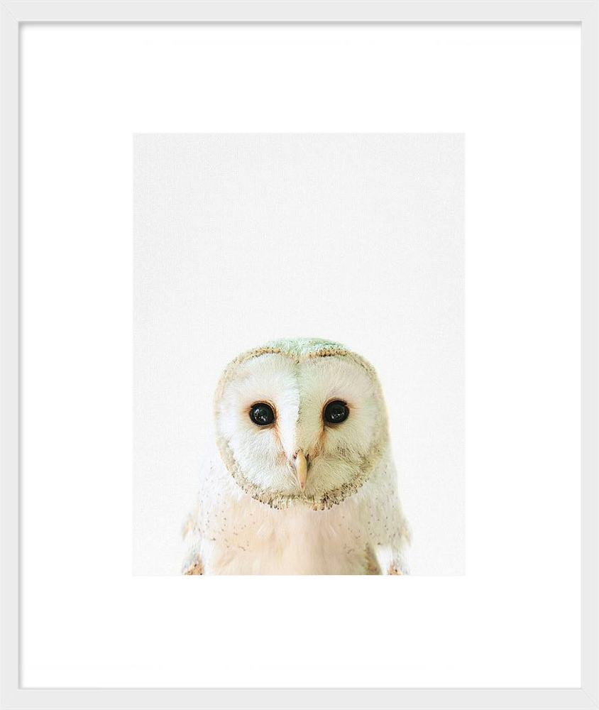 Owl Framed Print