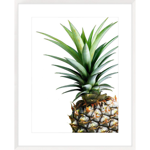 Spyglass Gallery Pineapple Framed Printed Wall Art Reviews Temple Webster