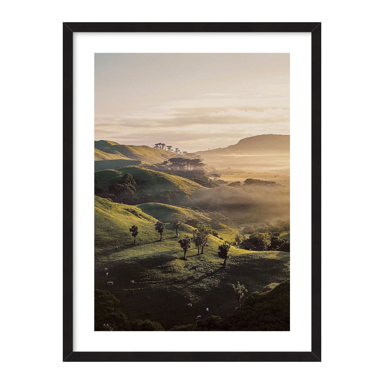 Bishop 18 Canvas Wall Art