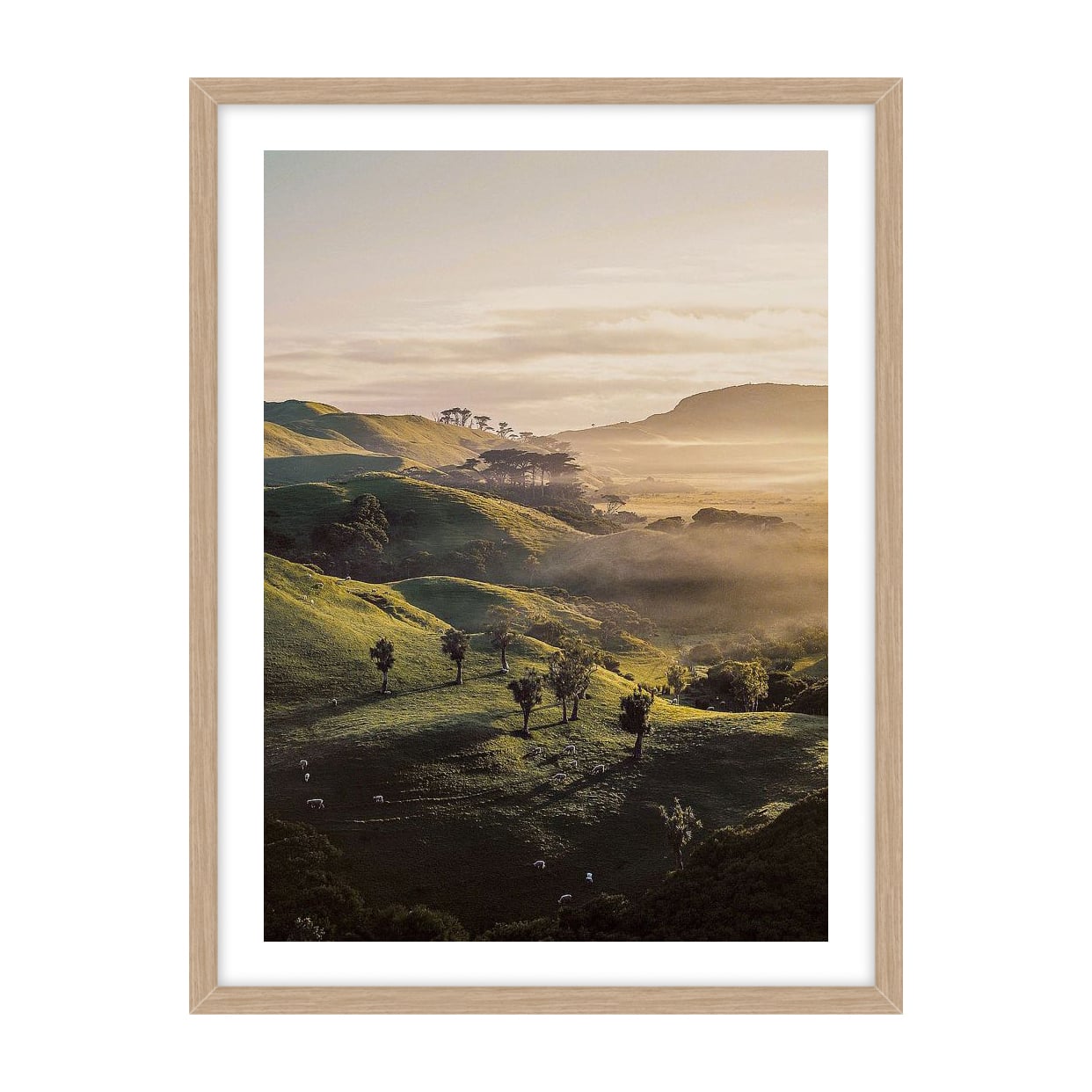 Bishop 18 Canvas Wall Art