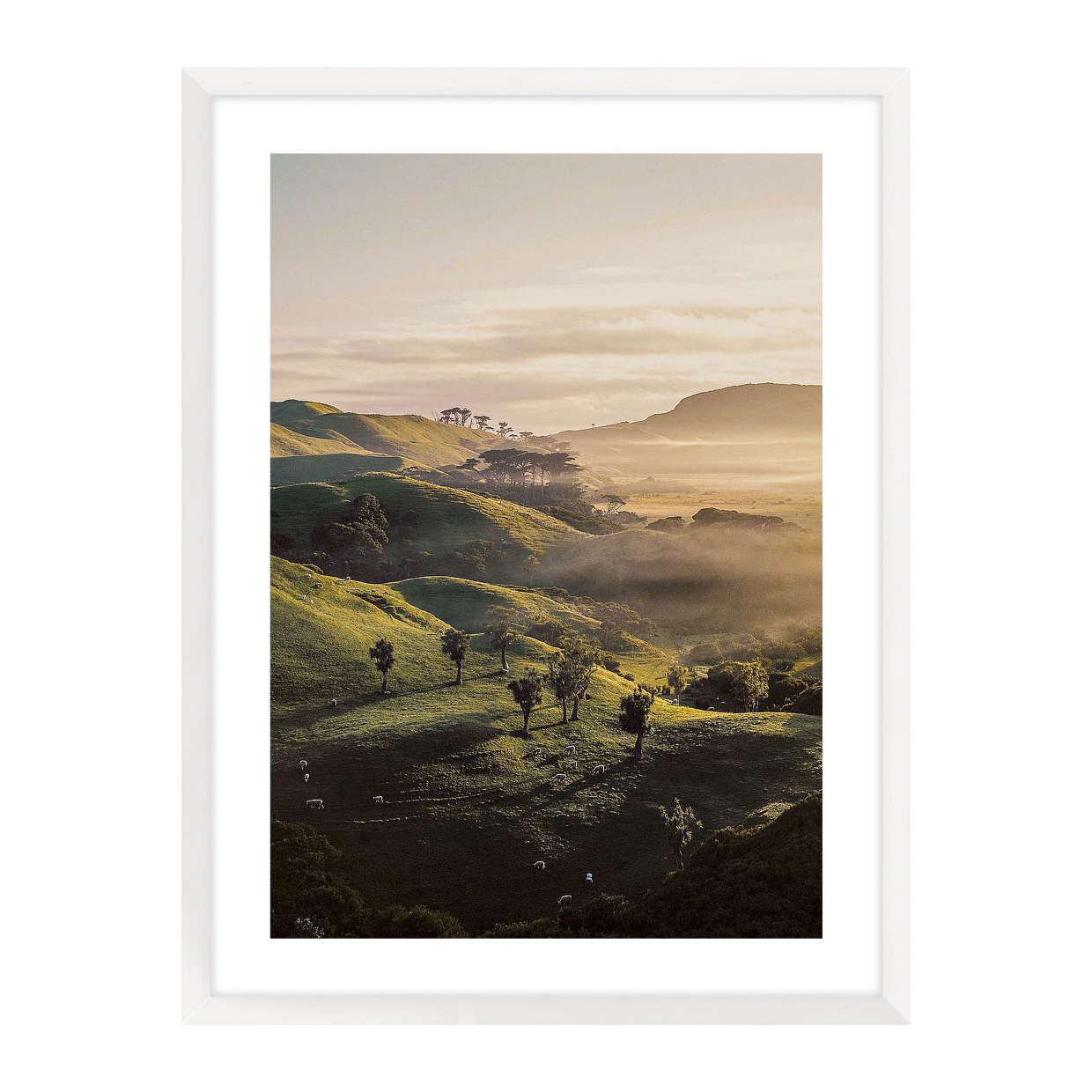 Bishop 18 Canvas Wall Art