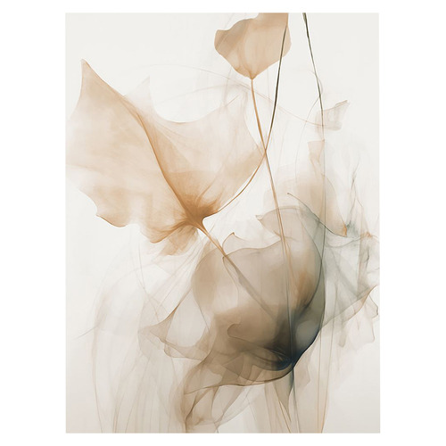 Floral Transparency II Canvas Wall Art